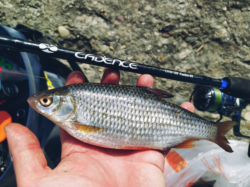 CR10 Feeder #2 (12ft), 360 см, 20-60г, Fast фото 1