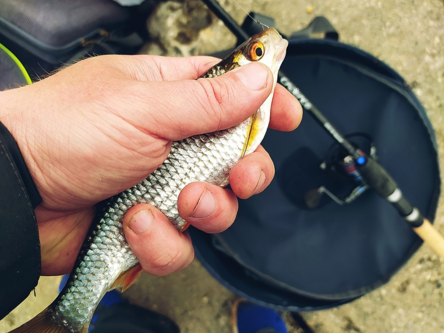 CR10 Match #2 (16ft), 480 см, 2-20г фото 5