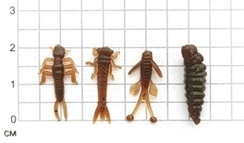 NANO MIX B, 2,0 см (0,8'') цвет 381 лайм фото 2