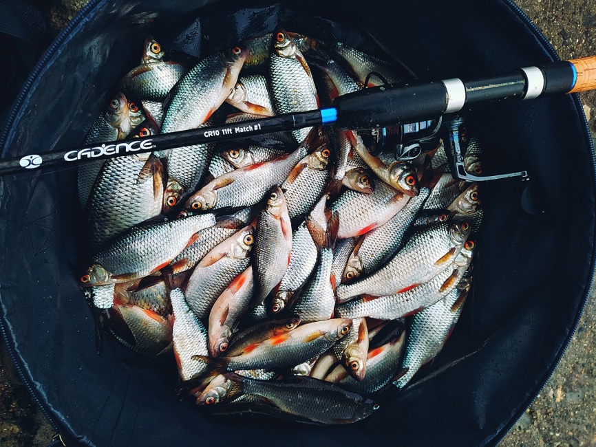 CR10 Match #2 (16ft), 480 см, 2-20г фото 8