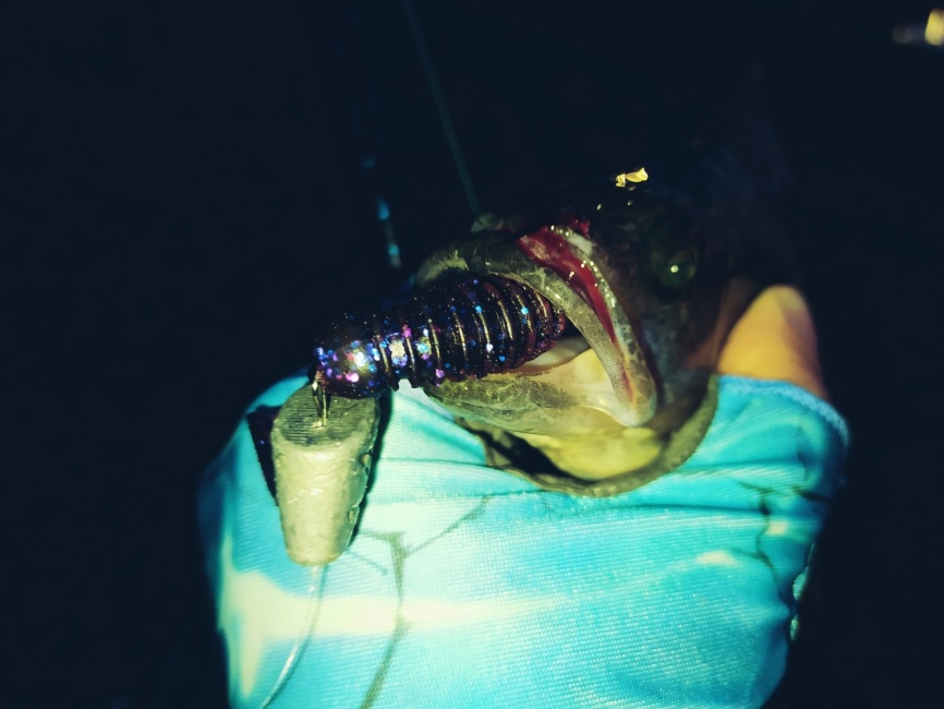 Lazy 3" (76 мм). Цвет С03 (вишнево-синий) фото 4