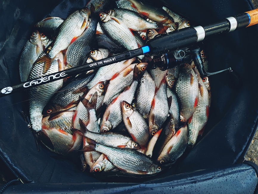 CR10 Match #2 (16ft), 480 см, 2-20г фото 1